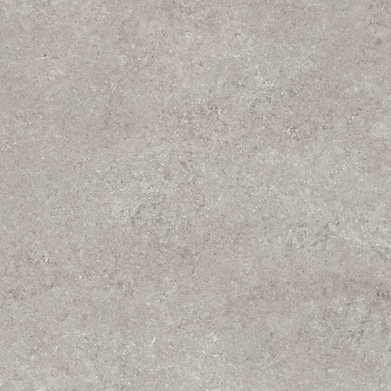 768369 Sensi Grey Fossil R+PTV Ret 80x80 Casa Dolce Casa