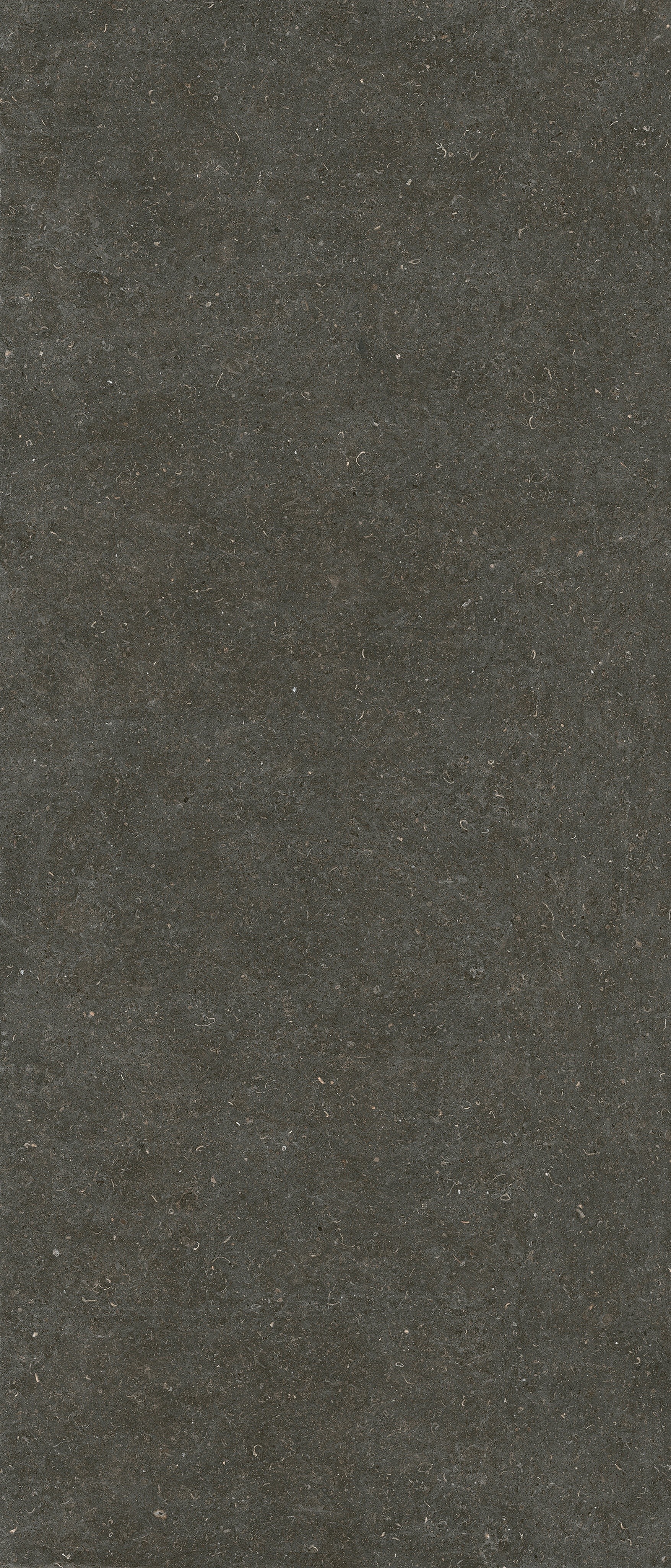 785573 Rinascenza Arena Platino Matte 6mm 120x280 Casa Dolce Casa фото 2