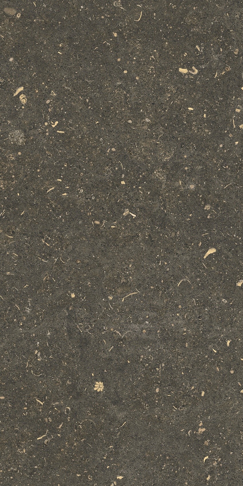 785491 Rinascenza Arena Platino Matte 30x60 Casa Dolce Casa фото 9