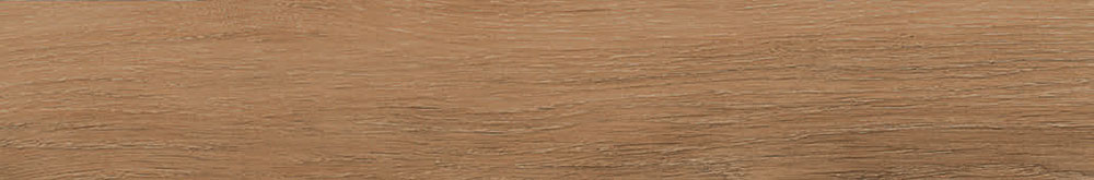 Bremen Sherwood 10x60 Ribesalbes