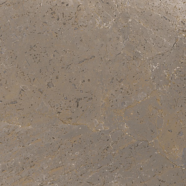 TREX 120TO LP Dove Gray 120x120 La Faenza
