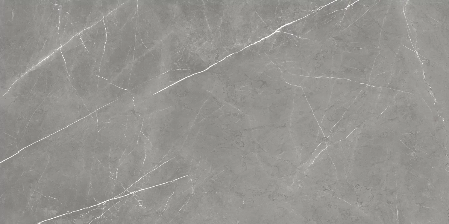 610015000657 Forte dei Marmi Elegant Grey Rett Cer 60x120 Atlas Concorde Russia