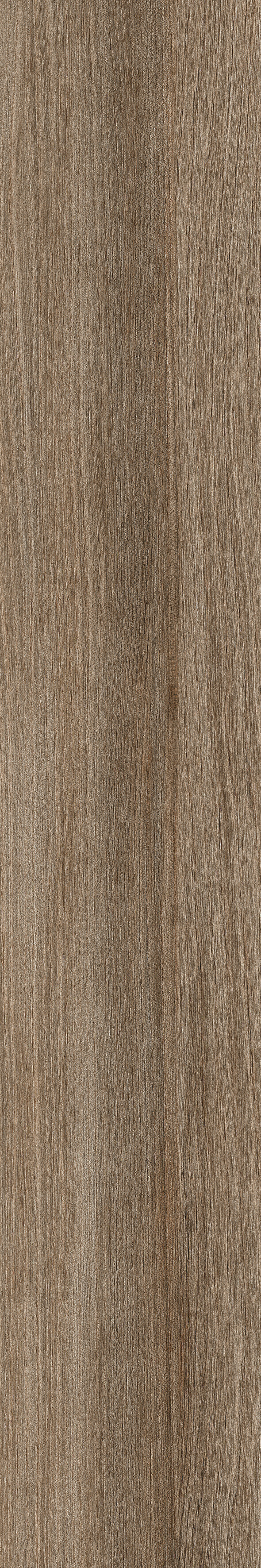 Poeme Siena 120x20 Keraben