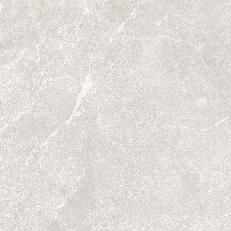 Rocky Bianco PRO светло-серый матовый R10GR 60х60 Laparet