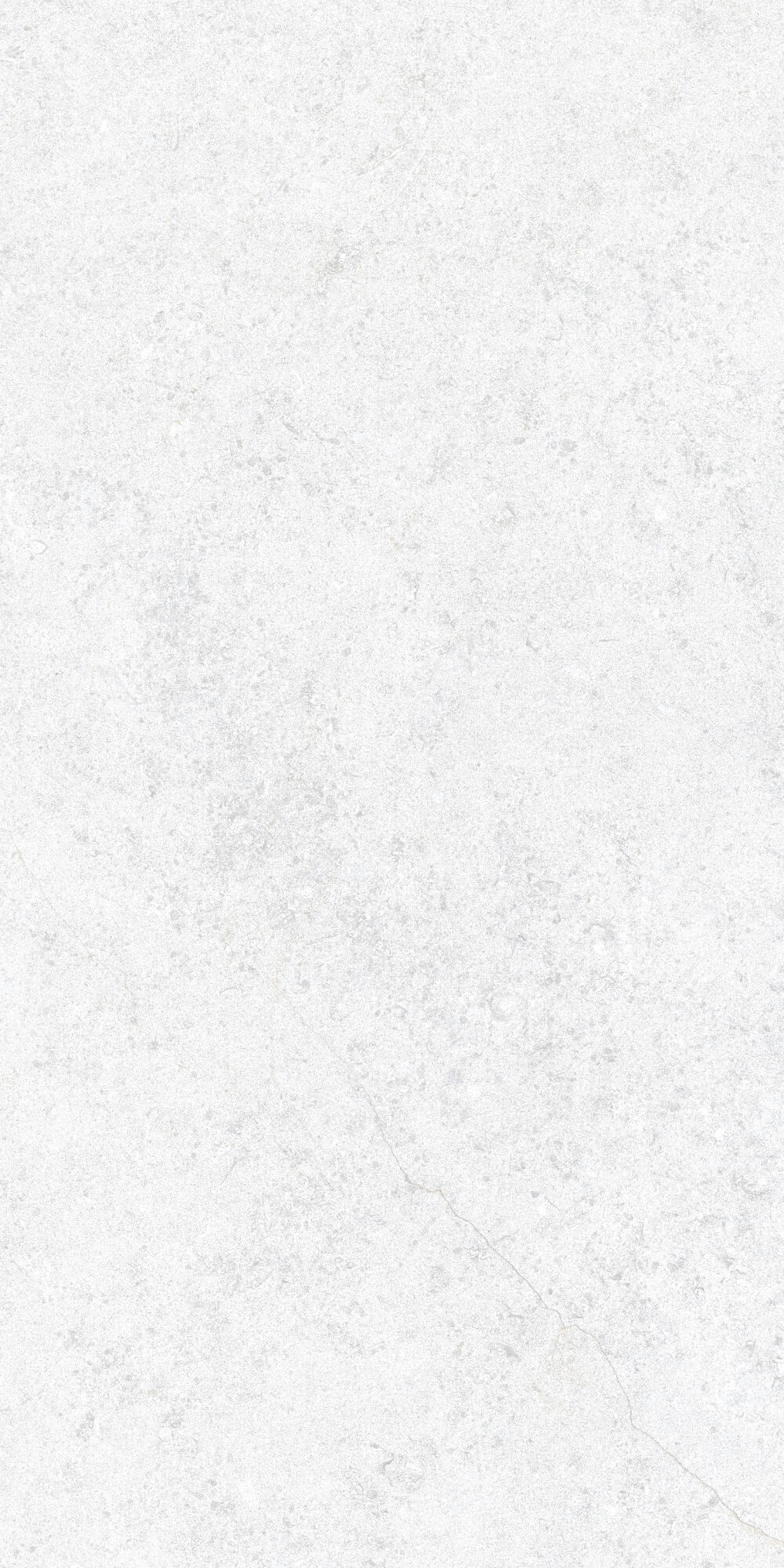 36905 Cluny White 4D/50X100X2/A/R 50x100 Peronda фото 12