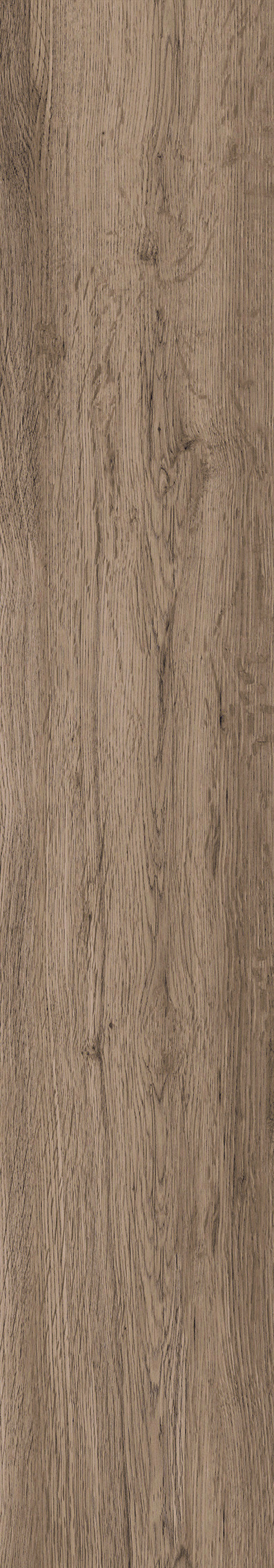 1107 Modena Natural Mate 120x20 Artcer