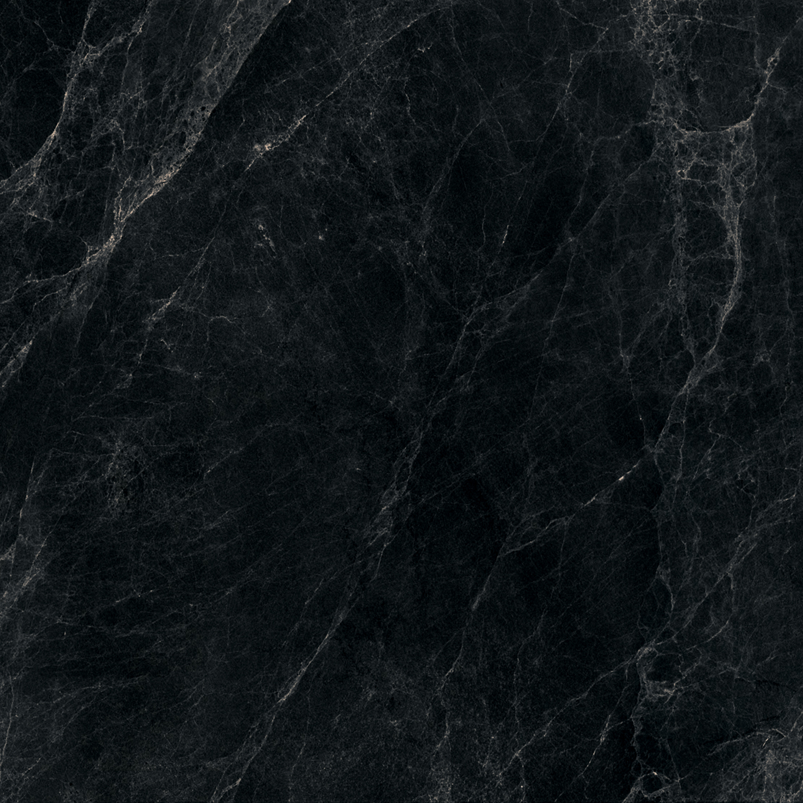 Worner BLACK 60x60 Bluezone