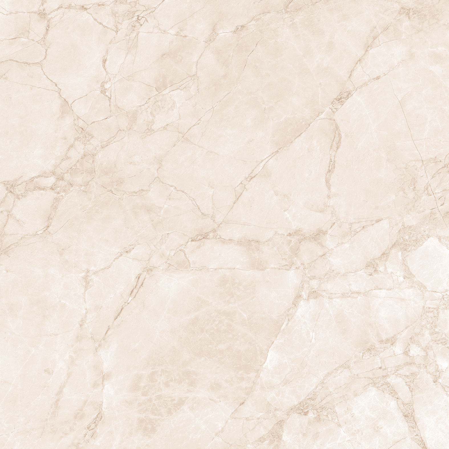 CR6007-A Arctic Pearl Carving 60x60 Arcadia Ceramica фото 5