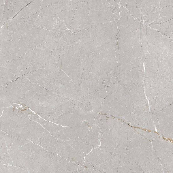 Larice Grey 60x60 Gravita