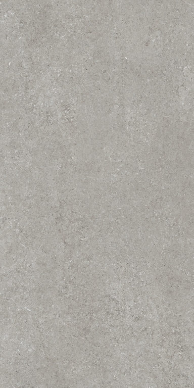 768317 Sensi Grey Fossil R+PTV Ret 60x120 Casa Dolce Casa
