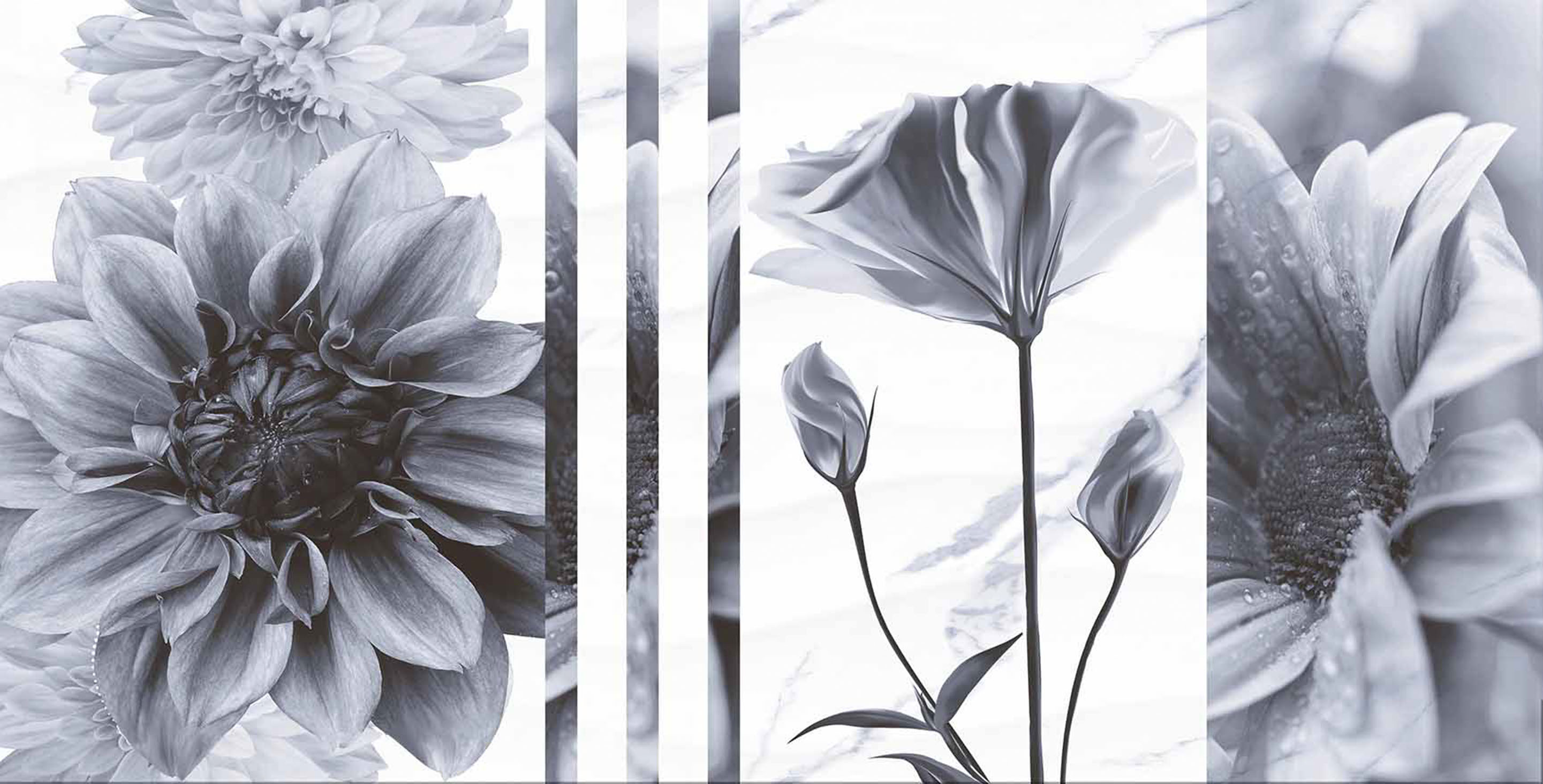TP3601SWFY Декор Галатея Цветы ректификат 30x60 PrimaVera