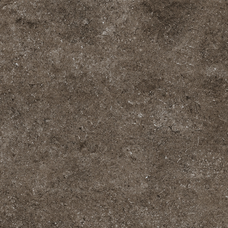 768379 Sensi Brown Fossil Ret 80x80 Casa Dolce Casa