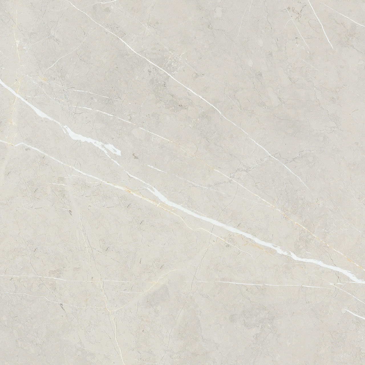 BB6NTT9101P Bright And Shiny 60x60 NT Ceramic