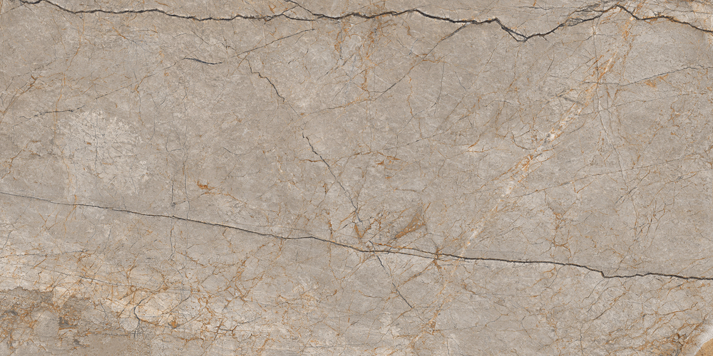 17124 Silver Roots серый матовый ректификат 60x120 Cersanit