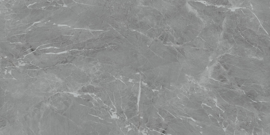 N20468 Eva Gris Polished 60x120 Neodom