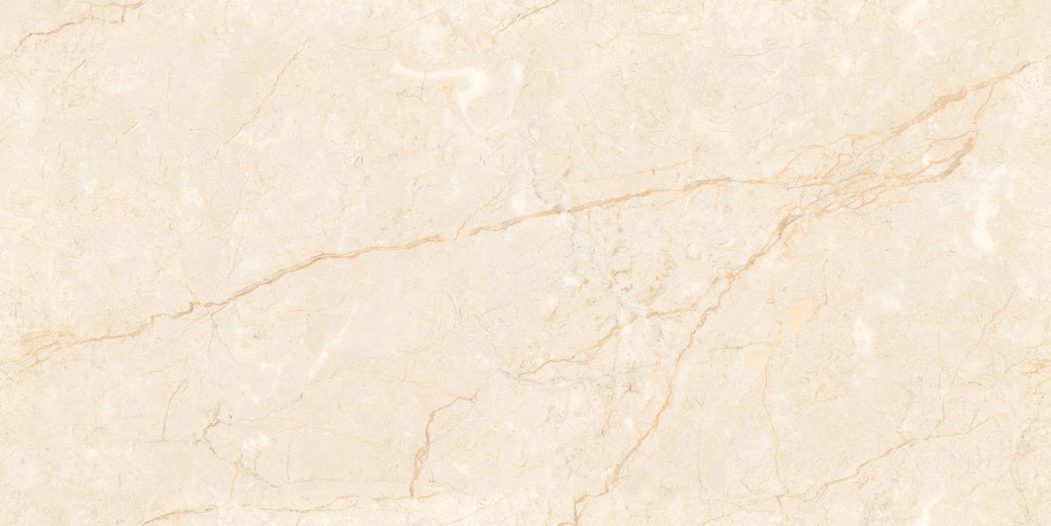 Piedra Ivory Endless Carving 60x120 LV Granito