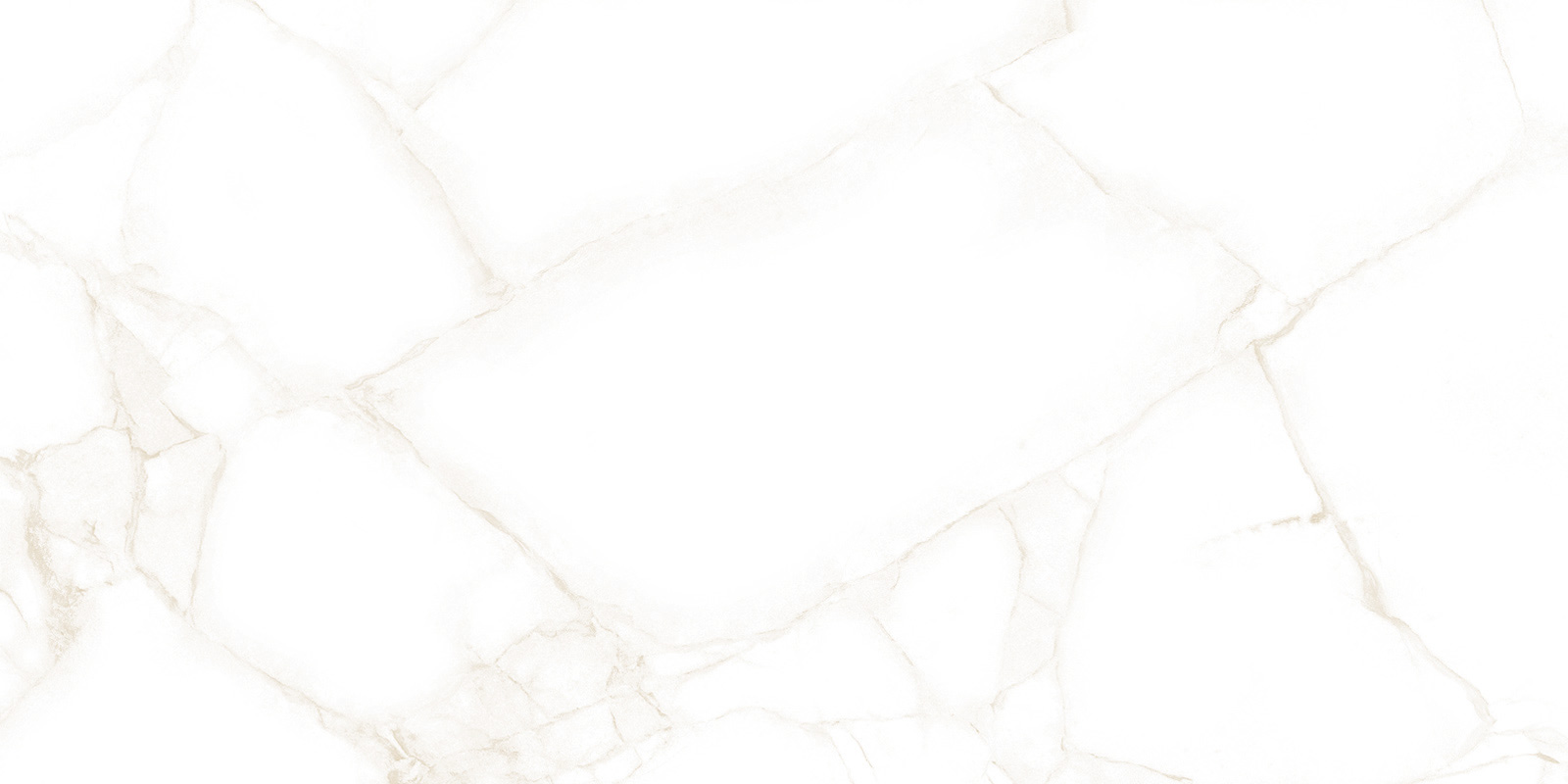 WT9ARE00 Artdeco White 250*500*9 AltaCera