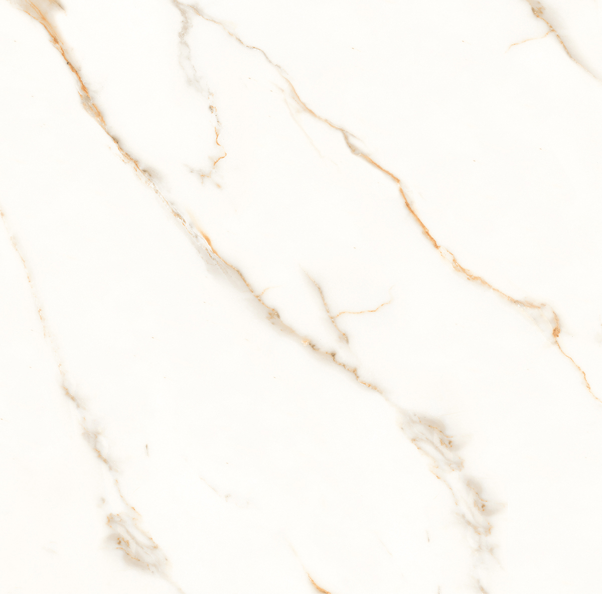 Venato Calacatta Gold белый сатинированный 60х60 Laparet
