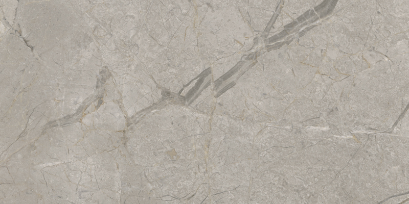 2ASK Silver Grey Silk RT 60x120 Keope