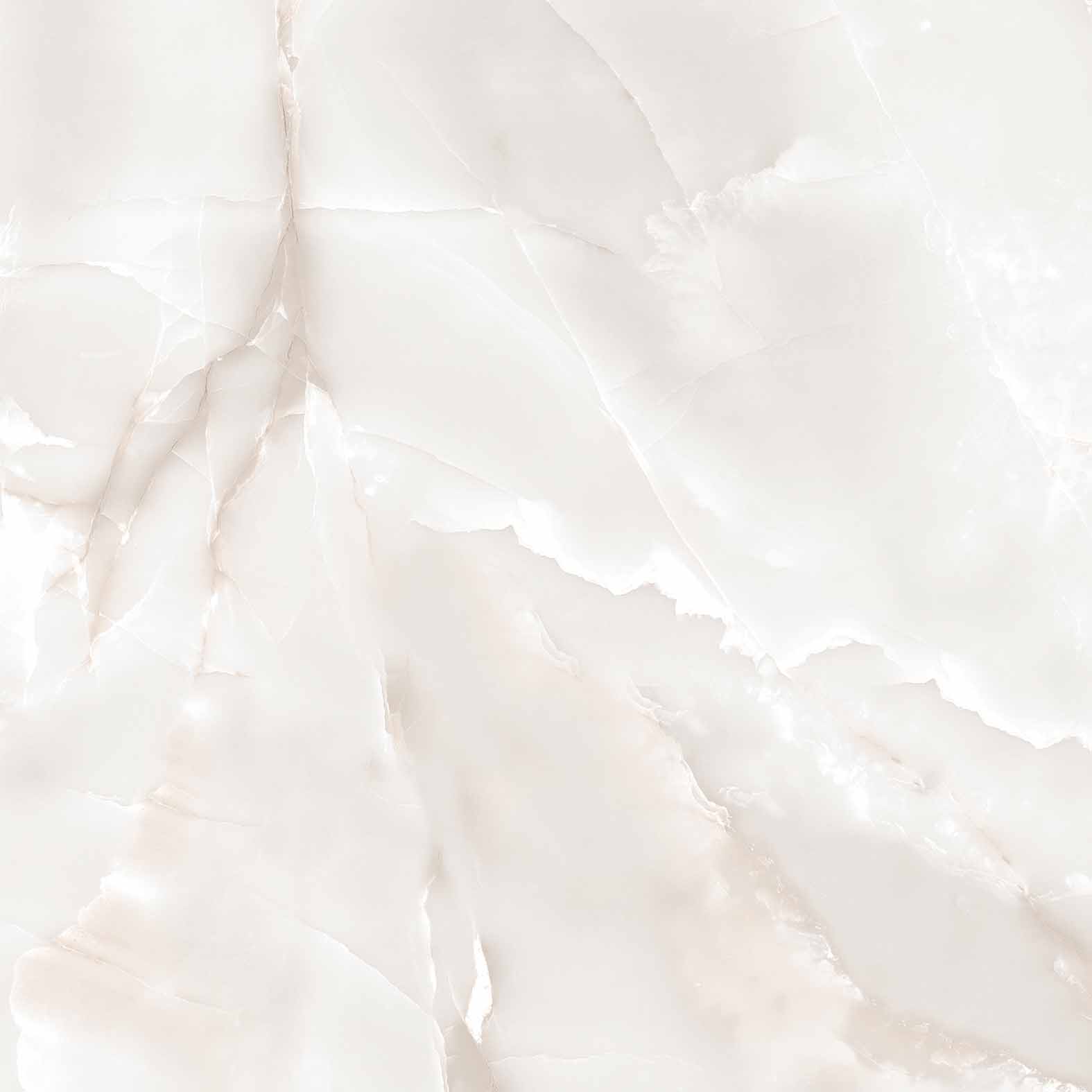 RT6005-A Primo Onyx Grey Matt Rustic 60x60 Arcadia Ceramica фото 10