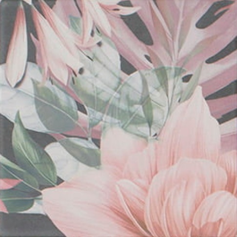 Murales Decor Rosses 20x20 Mainzu фото 4