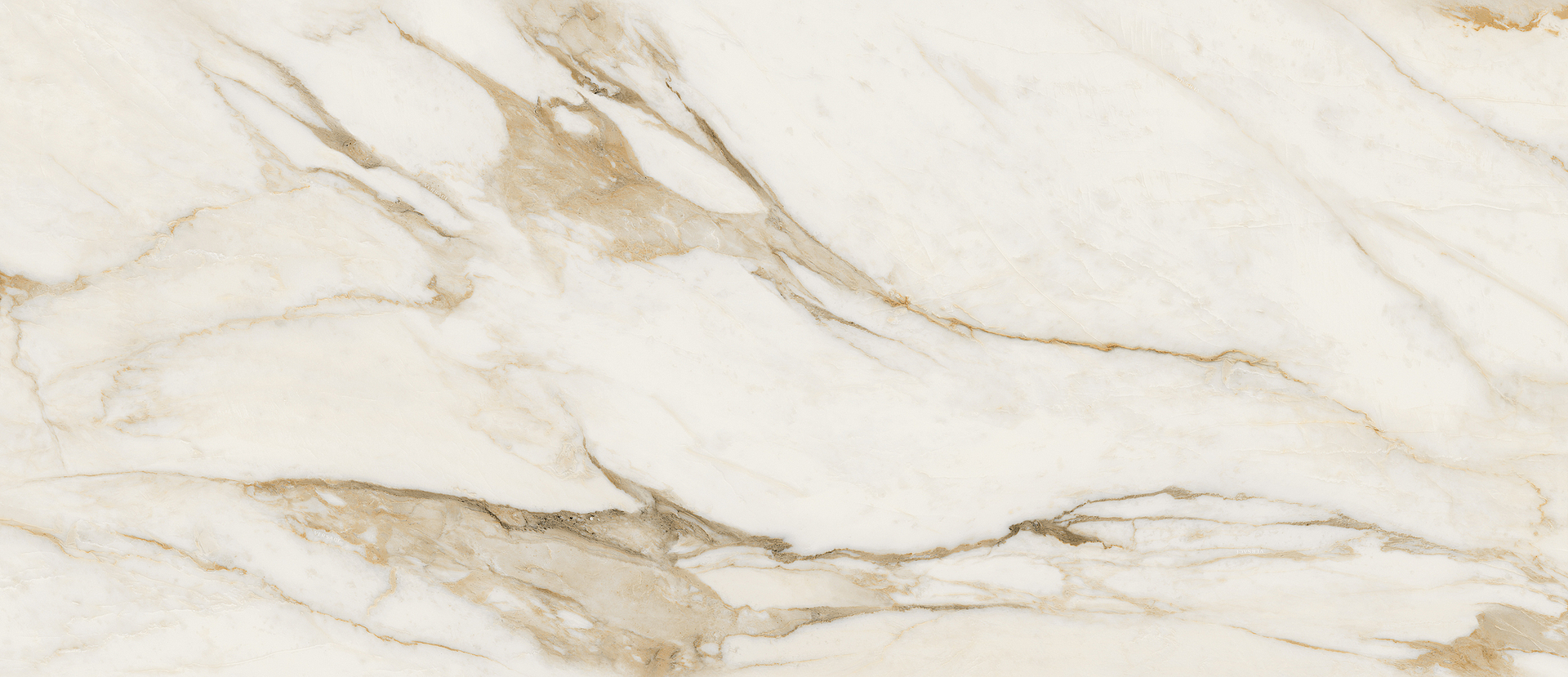G67502 Calacatta Bright Lux R 120x280 Versace (Gardenia Orchidea)