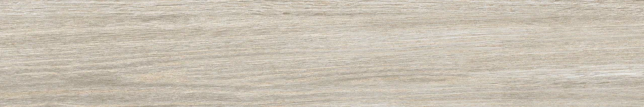 AB 1169W Forest Essenze Grey 1200x200 Absolut Gres