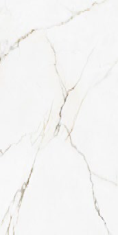 00-00000245 Calcatta Montreal Polish 60х120 BELLEZA