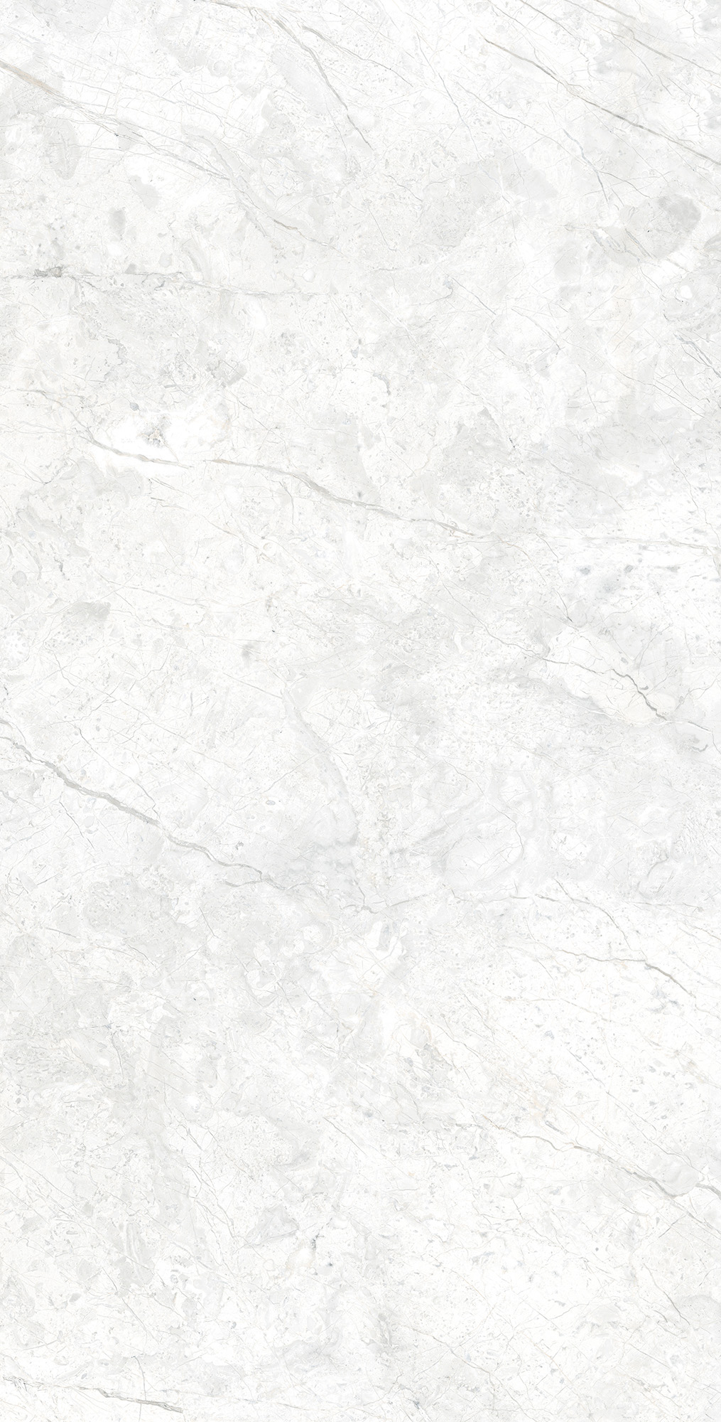 RT7015-A Marcus Bianco Matt Rustic 60x120 Arcadia Ceramica
