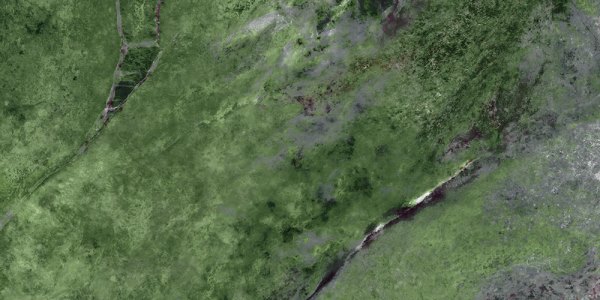 Amazona Jade Leviglass 60x120 Geotiles