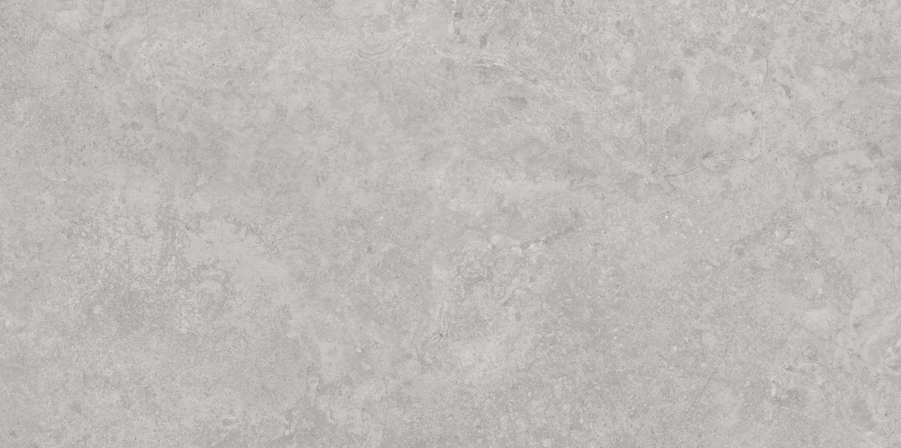 AVS-107 Antica Silver Lappato 600x1200 AVS фото 6