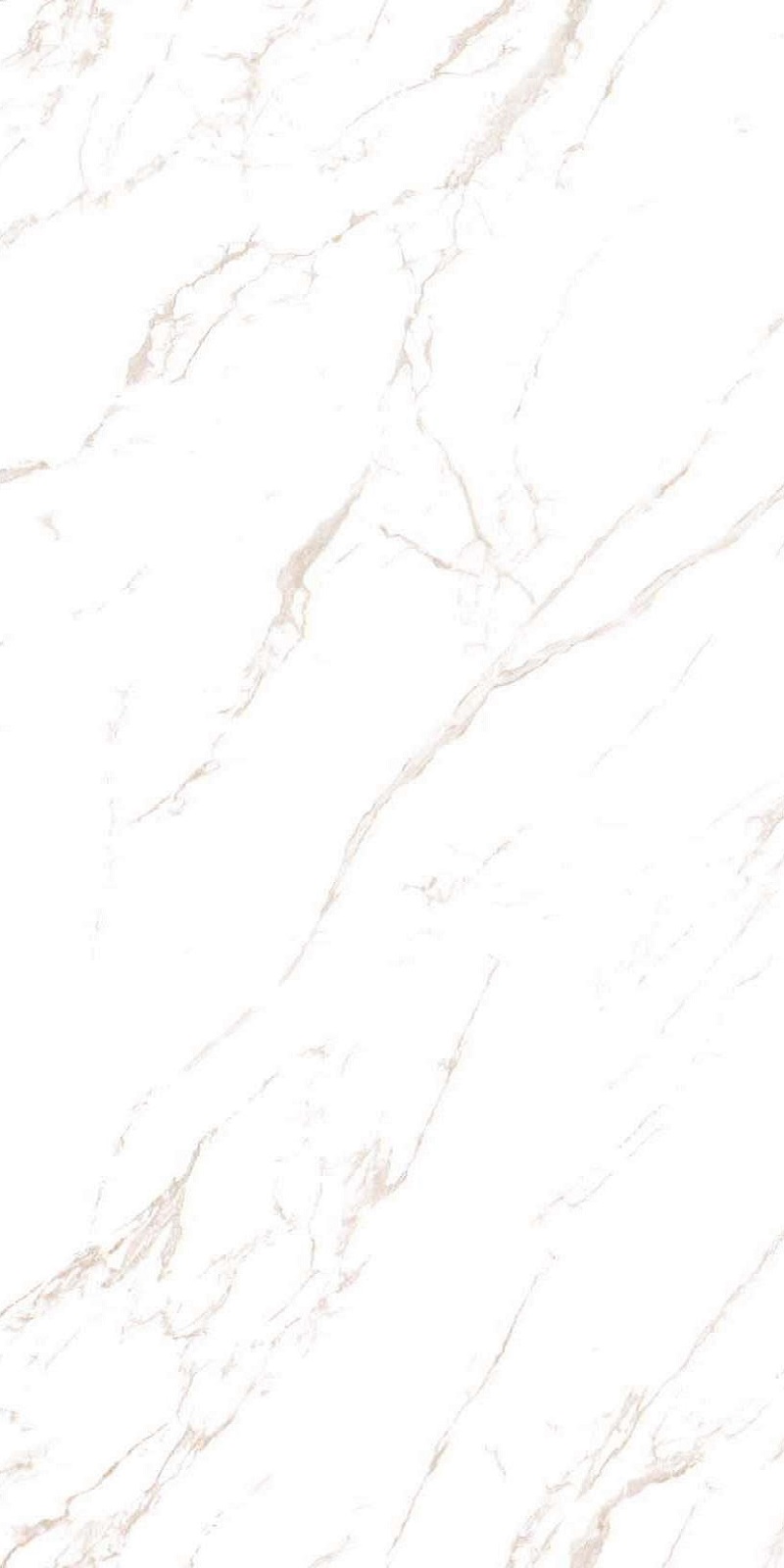 2720020 Marmoker Statuario Oro Honed 9mm 60x120 Casalgrande Padana