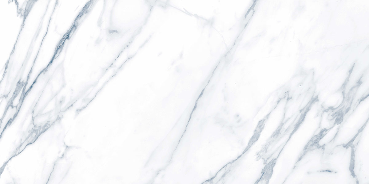 G283 Payer Grey MR 60x120 Гранитея