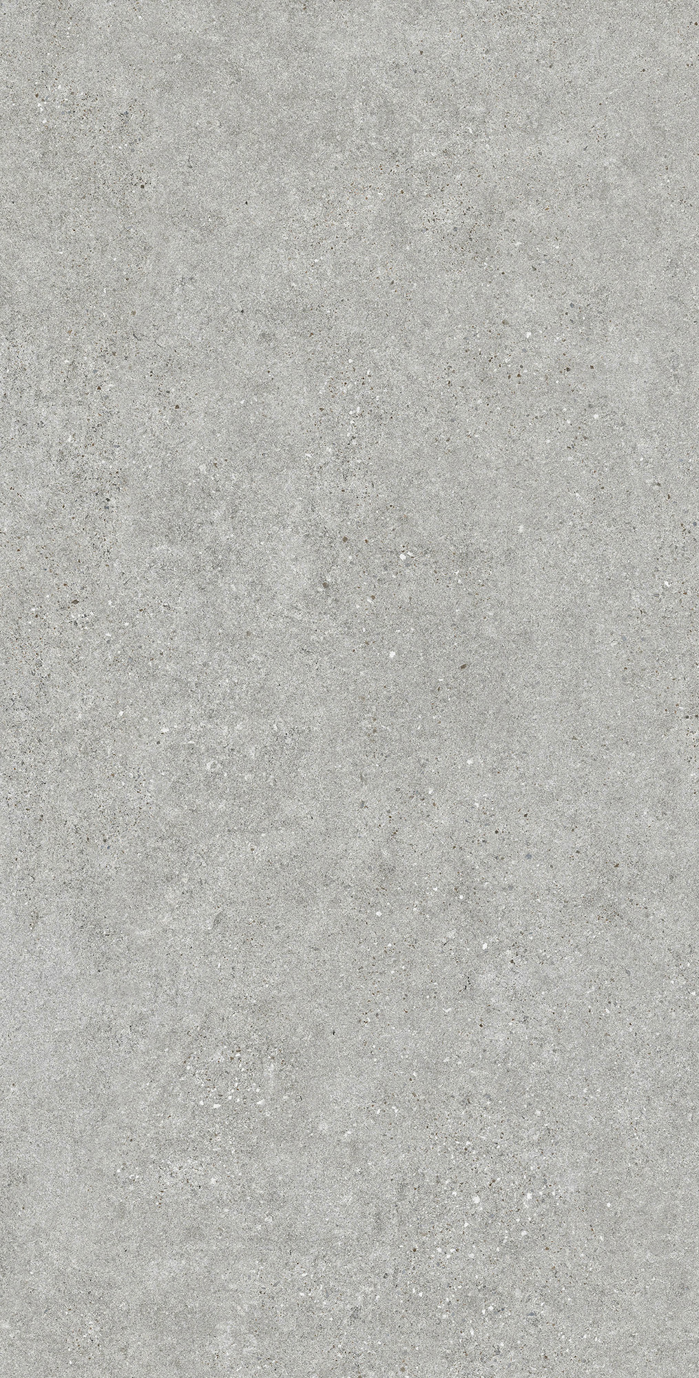 EV1001-A Bottega Acero Evan 60x120 Creanza фото 6