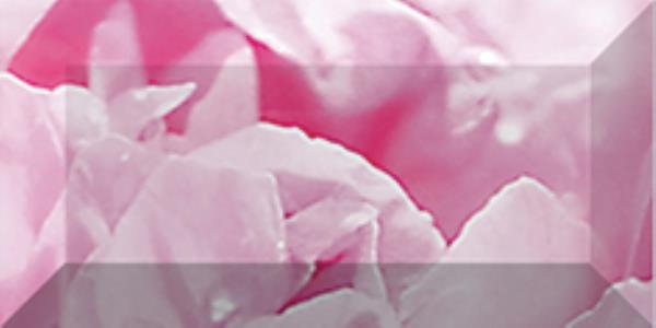 Бордюр рельефный Peony br1020D281-2 20х10 Laparet