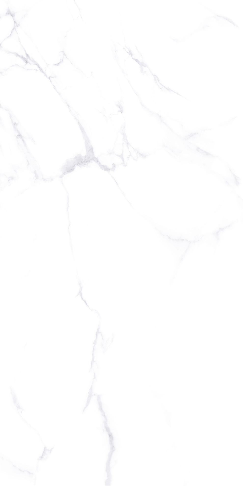 ZA-L12605 Lande PR 1200x600x9 Vizavi фото 4