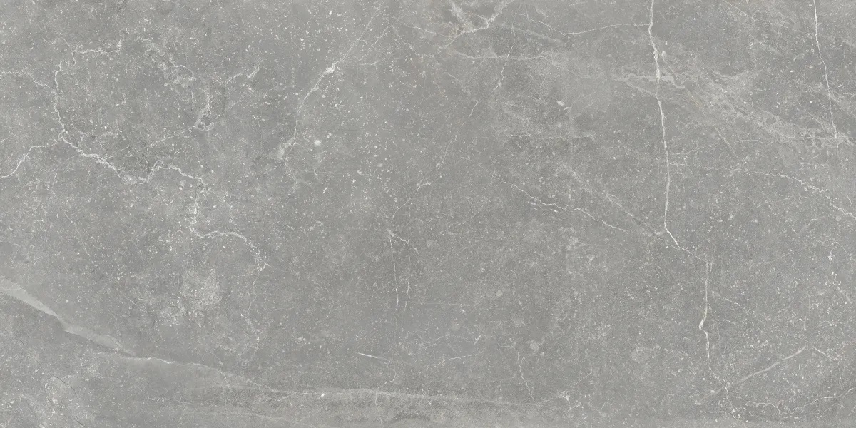 Bleuemix Grey Soft 60x120 Keraben