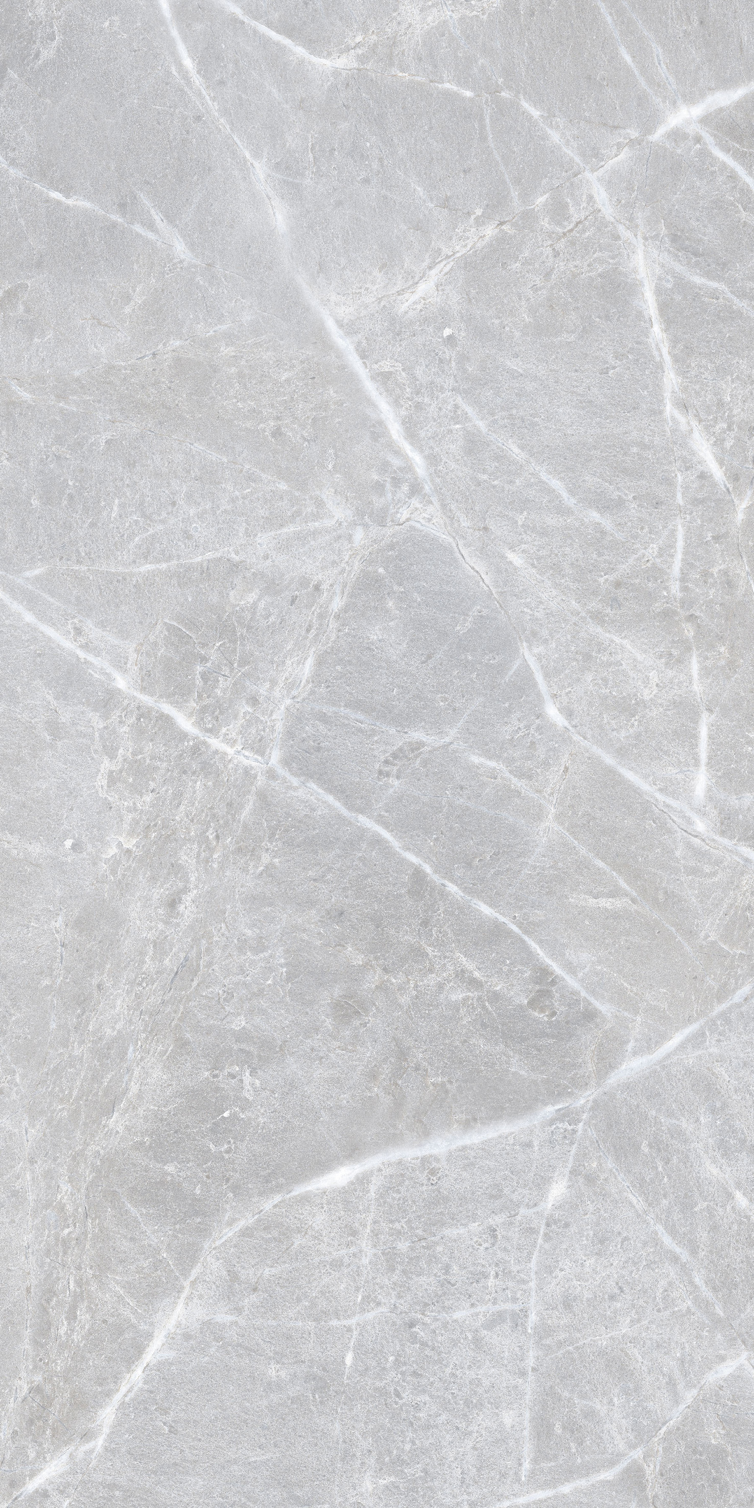 SI1003-A Cassero Bianco Sugar Ink 60x120 Creanza фото 2