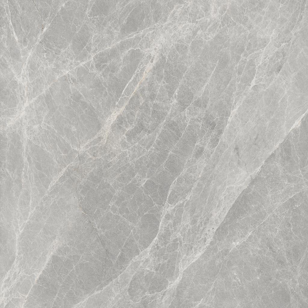 Worner GREY 60x60 Bluezone
