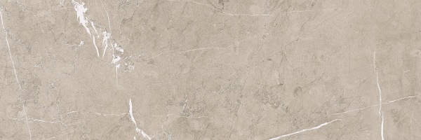 Lyon 9535 Vison Rectificado 30x90 Porcelanite Dos