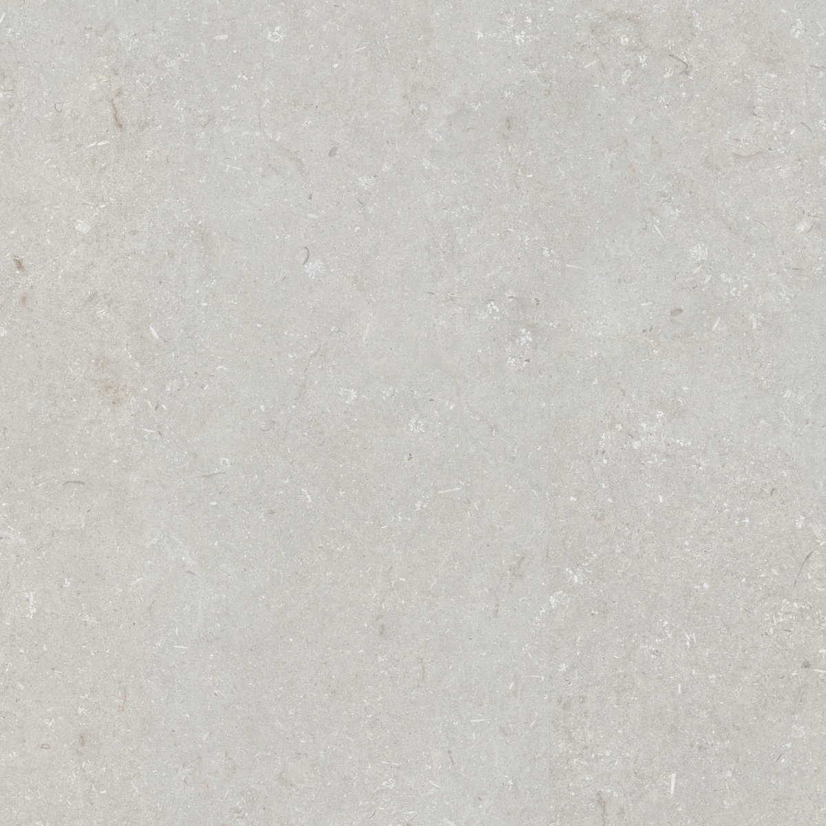 005847 Shellstone Bianco 120x120 Dado Ceramica