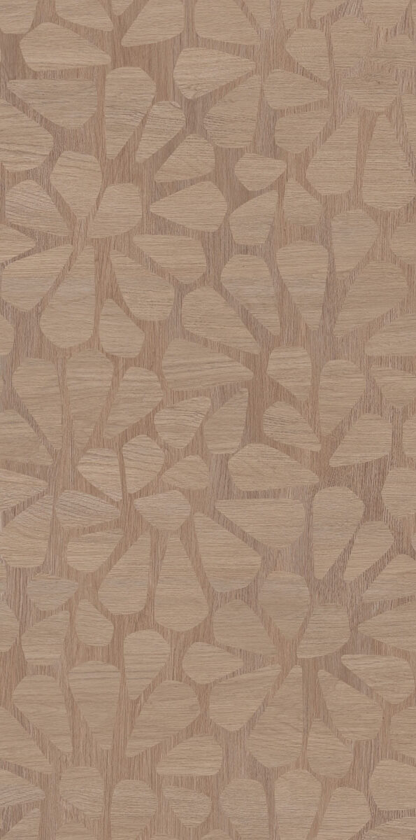 PF60021265 Decor Library Passage Cinnamon Nat Ret 60x120 ABK фото 2