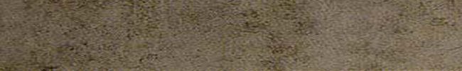 Evolution Rodapie Gris 7.6x49.1 Ceracasa