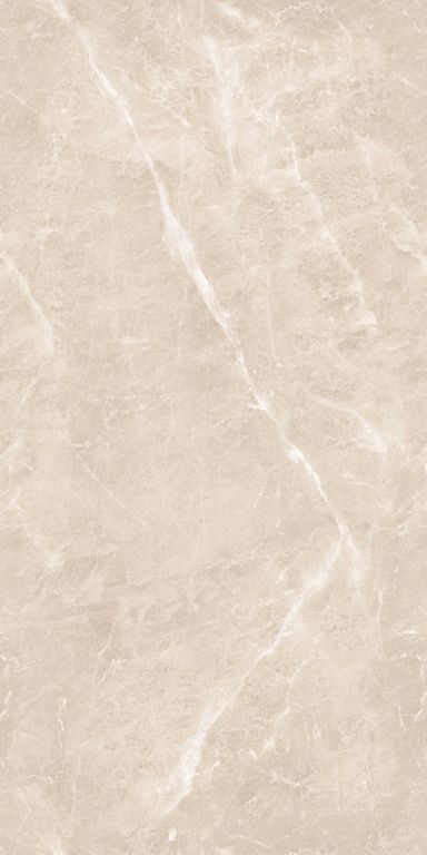 894 Gem Grey 120x60 Artcer