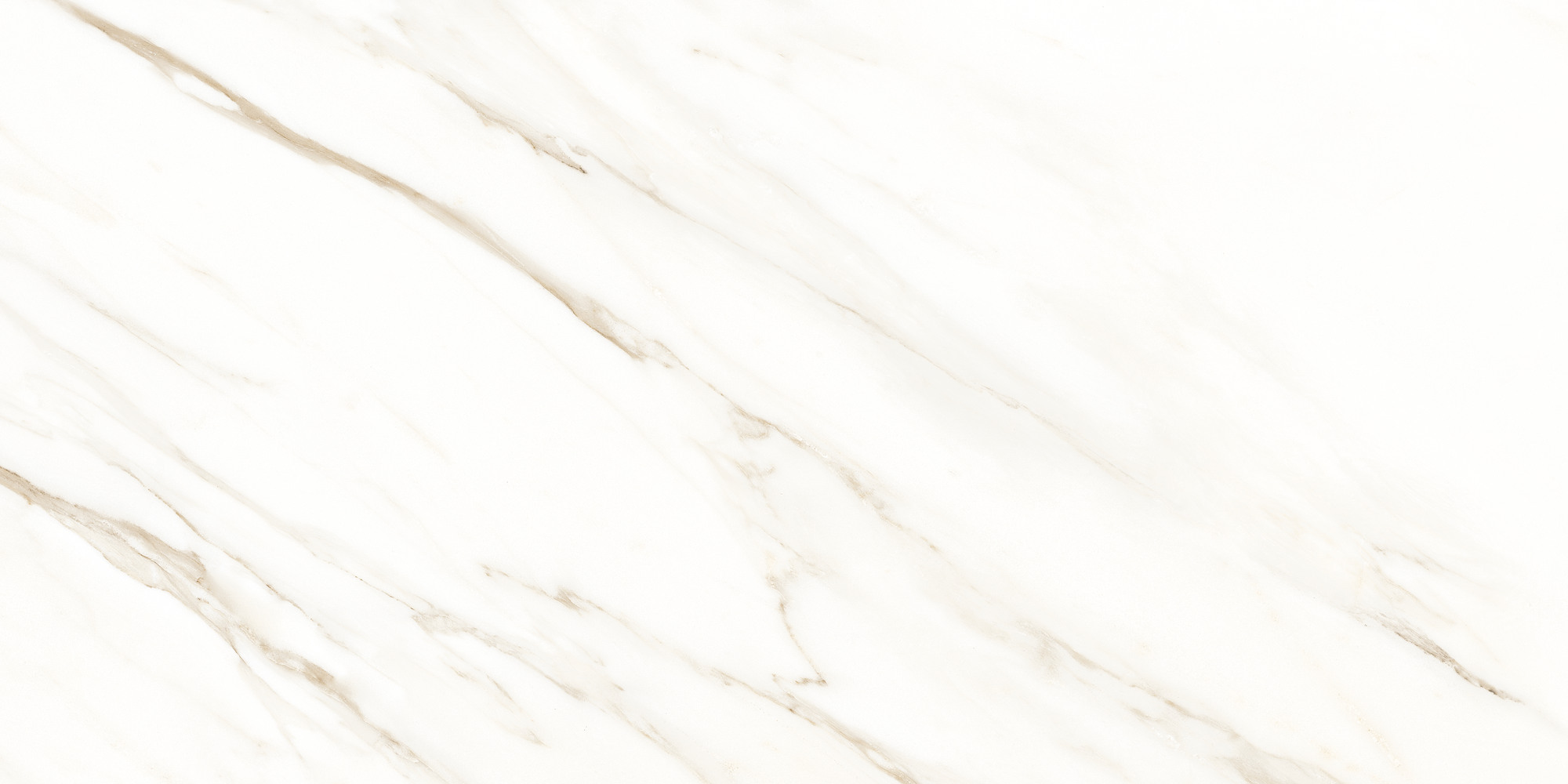 Lucca White Bru 60x120 TAU Ceramica фото 6