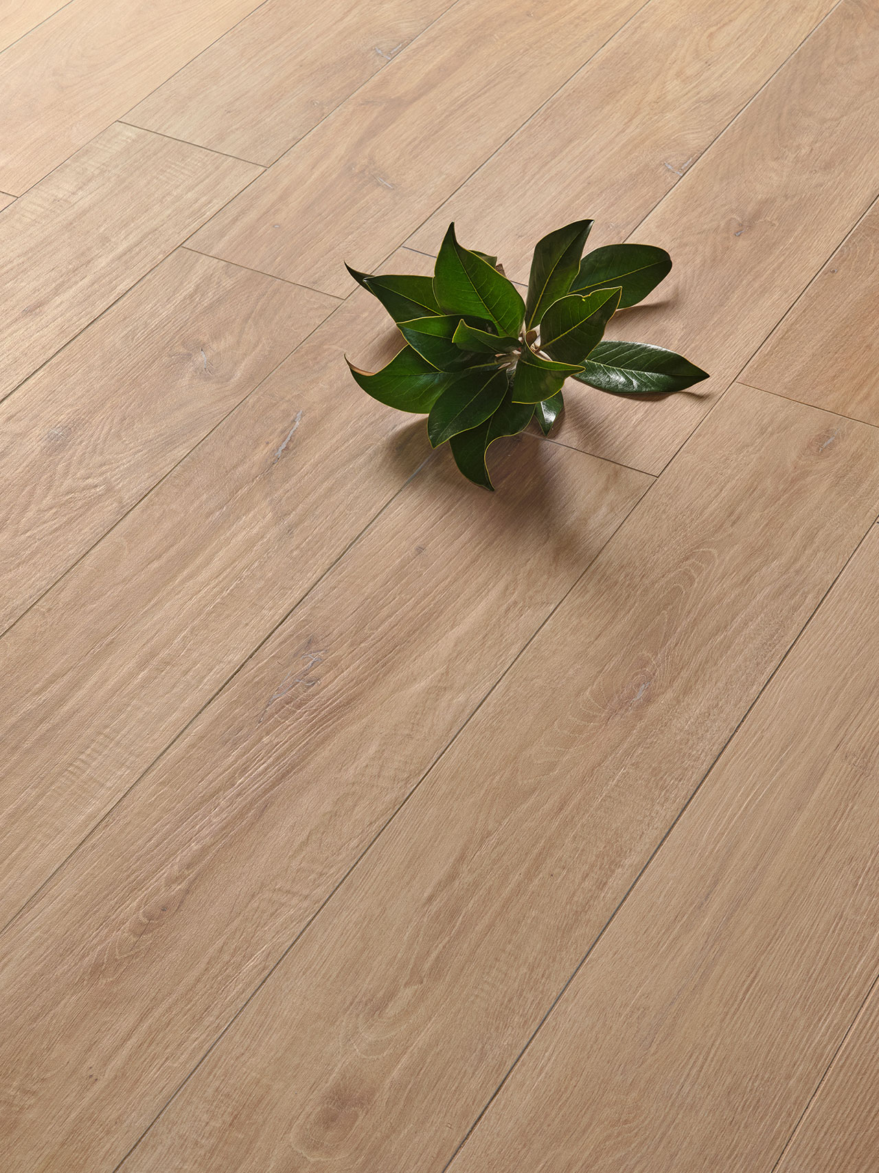 1007111 Olmo Massello Rett 30x120 Isla Tiles фото 20