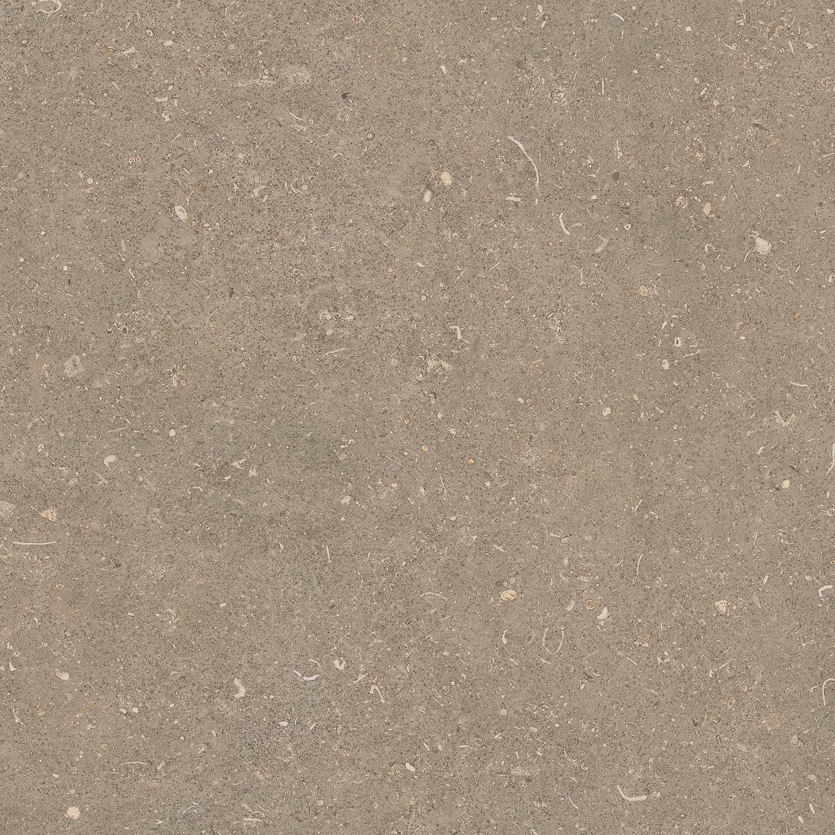 785486 Rinascenza Arena Pietra Matte 60x60 Casa Dolce Casa