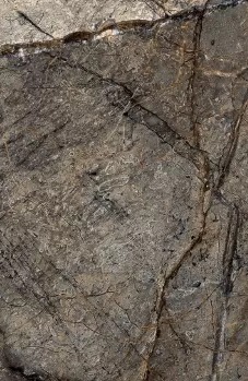 Образец 20х30 см керамогранита Arizona Green полированный 60x120 Duna фото 4