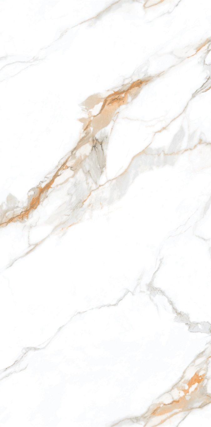 NTT3002P Calacatta Gold 120x240 NT Ceramic