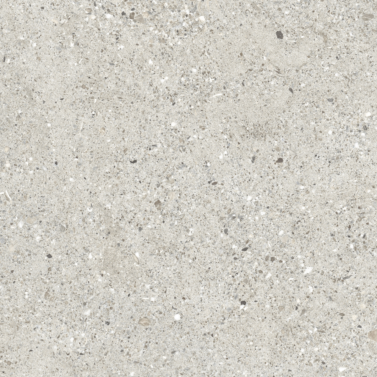 CR6060G0461R Granito Grigio серый матовый 59,5х59,5 Ceradim фото 5